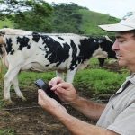 leite gado leite aplicativo embrapa campo agrotic embrapa