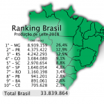 3110brasil