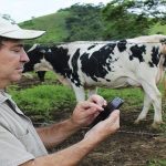 produtor de leite aplicativo celular invertida embrapa