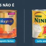 amp pesquisa alimentos parece ninho