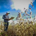 produtor compurtador lavoura plantacao Foto Wenderson Araujo CNA