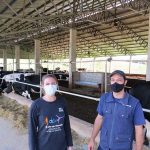 Bem estar animal e dieta alimentar aumentam produtividade leiteira de propriedade em Venancio Aires Foto Carina Venzo Cavalheiro