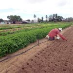 Governo do RN sanciona Selo dos Produtos da Agricultura Familiar