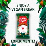 kitkat vegano