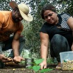 reforma agrária é “uma dívida” que o Brasil tem com os camponeses, diz economista