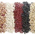 Beans photo adobe stock E