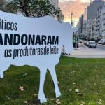 Produtores de leite protestam no Marques de Pombal com manada de vacas em cartao