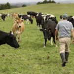 SC oferece linha de credito para produtores afetados pela seca