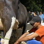 Campeoes do Super Torneio apresentam producao acima de 100 quilos