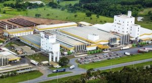 Laticínio Piracanjuba demonstra interesse na produção de leite do Vale do Araguaia