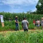 Produtores de leite participam de visitas tecnicas em unidades demonstrativas