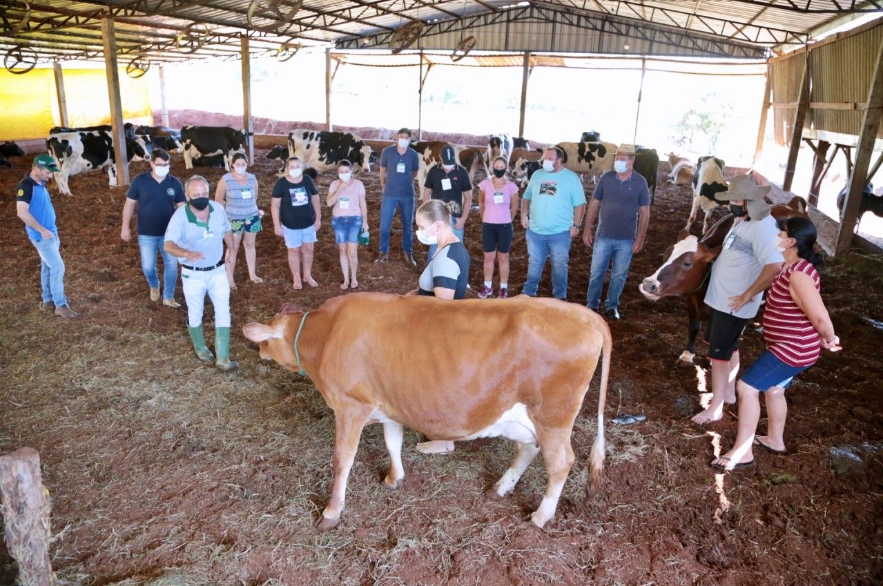 Secretaria de Agricultura de Itaipulandia realiza capacitacao para produtores de leite