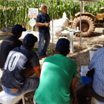 SC Dia de Campo discute qualidade da silagem de milho com produtores de leite do meio oeste