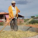 Emater MG orienta agricultores familiares sobre tecnologia de conservacao de forragem