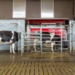 Lely capacita tecnicos do Brasil Chile e Argentina em automacao na pecuaria de leite