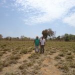 Produtor avanca na pecuaria de leite com ATeG