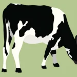 Como podemos hacer mas sustentable la produccion de leche