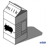 eDairy Market historia de la leche 1