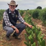 Instituto Luiz Girão promove palestras técnicas sobre forragem para pecuária leiteira em Sergipe