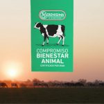 Mastellone Hnos. obtiene el sello de bienestar animal para sus productos. 1024x653 1