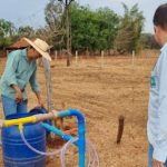 Produtor investe em sistema de irrigação e aumenta produção de leite