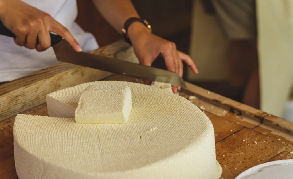 Produtores de queijo de Colatina participam de capacitação com consultor italiano – Foto: Pixabay