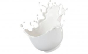 Lagoa Vermelha. A produção de leite registrou uma perda diária de 50 mil litros.