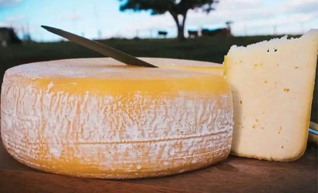 Entre os queijos brasileiros no ranking internacional está o Canastra, em 11º lugar - Foto: reprodução /A Canastra