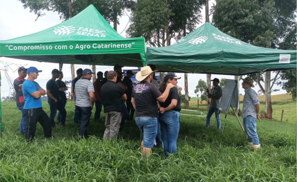 Foi um dia todo dedicado ao conhecimento e à avaliação dos resultados obtidos em uma propriedade rural situada em Xavantina (Foto: divulgação Sistema Faesc/Senar-SC).