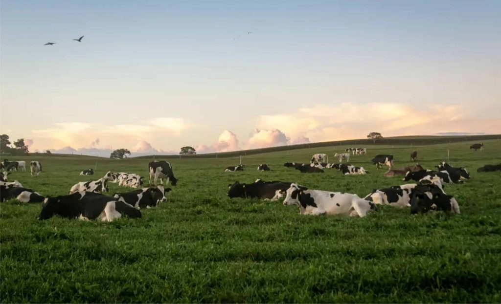 O Plano de Vida Rural é uma iniciativa de inovação em negócios sociais, promovendo o desenvolvimento rural sustentável