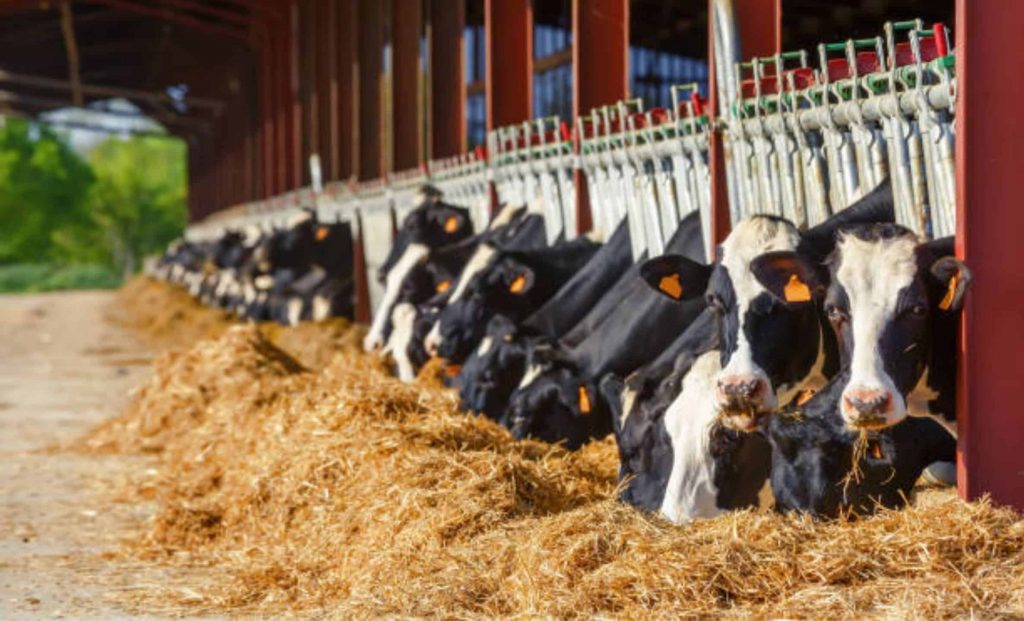 Paraná é um importante gerador de renda para o estado.