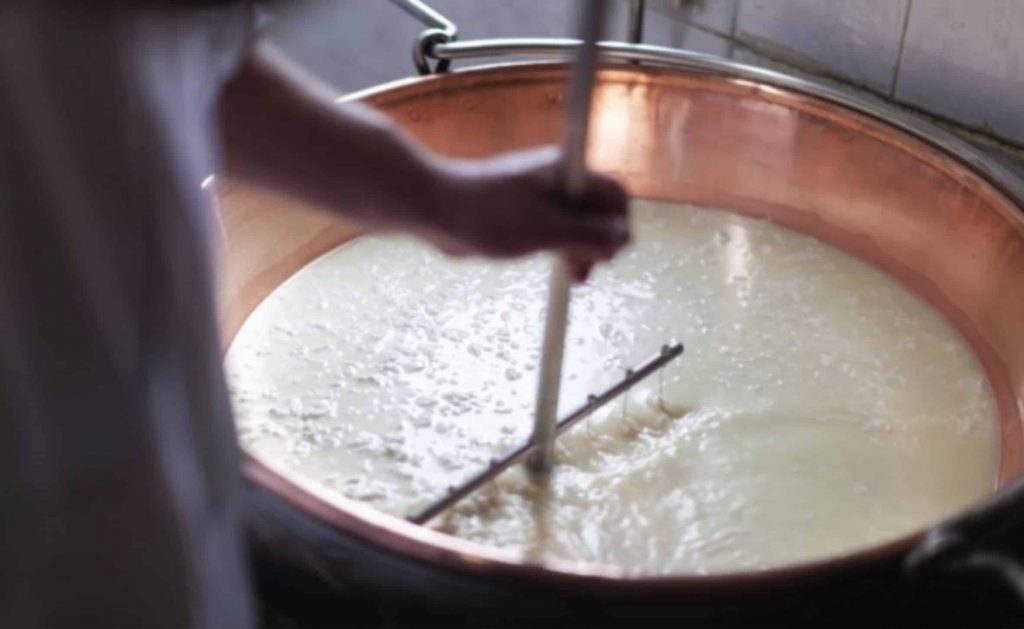 A Exosomm recicla o soro de leite da produção tradicional de queijo para isolar exossomas. Getty/CasarsaGuru