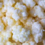 O kefir de leite é mais rico em nutrientes que o de água.