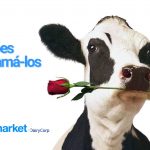 8 razões para amar as vacas leiteiras