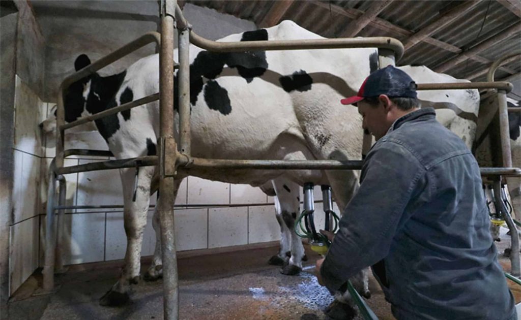 Geral Mais um produto muito consumido pelos brasileiros entra para a lista dos itens que tiveram uma elevação no preço: o leite. O litro do tipo UHT, que em janeiro fica- va perto dos R$ 4,00, agora che- ga a quase R$ 7,00.