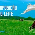 7 Tipos de leite e sua composição