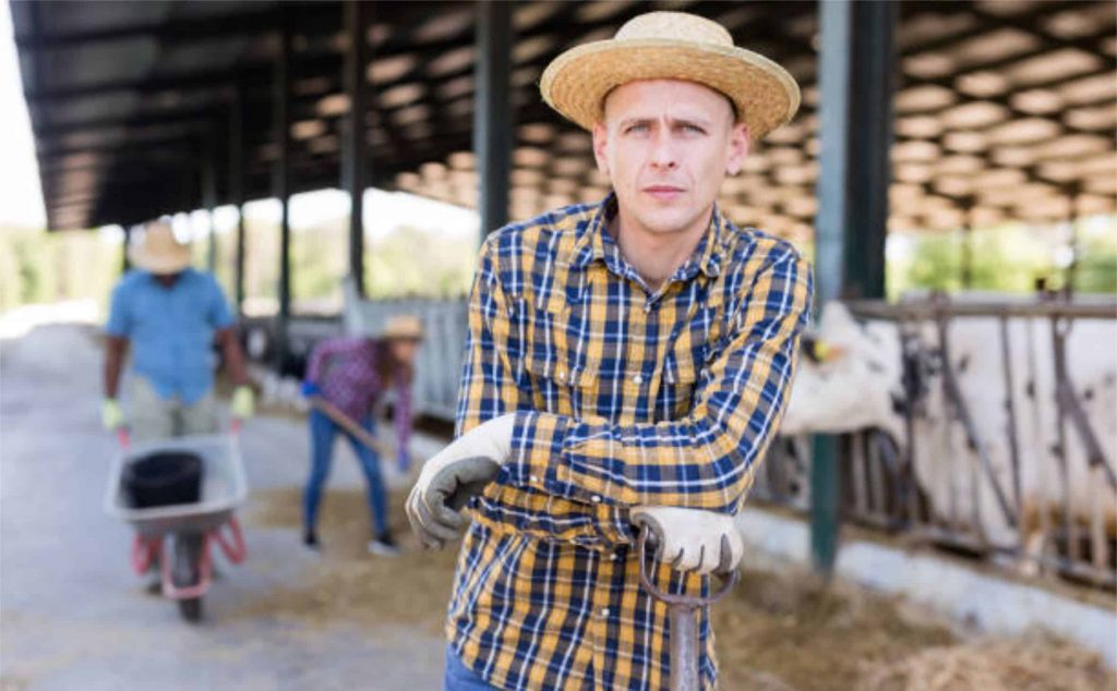 "A desvalorização do leite no campo ocorre em consonância com o movimento de queda observado ao longo de toda a cadeia produtiva"