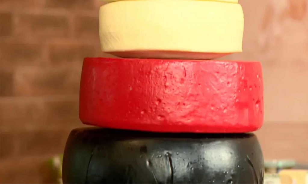 Mestres queijeiros agora pretendem inovar em novos sabores