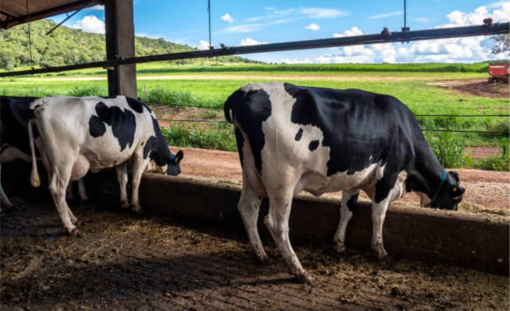 O parlamentar afirmou ainda que a situação é muito grave para os produtores de seu estado