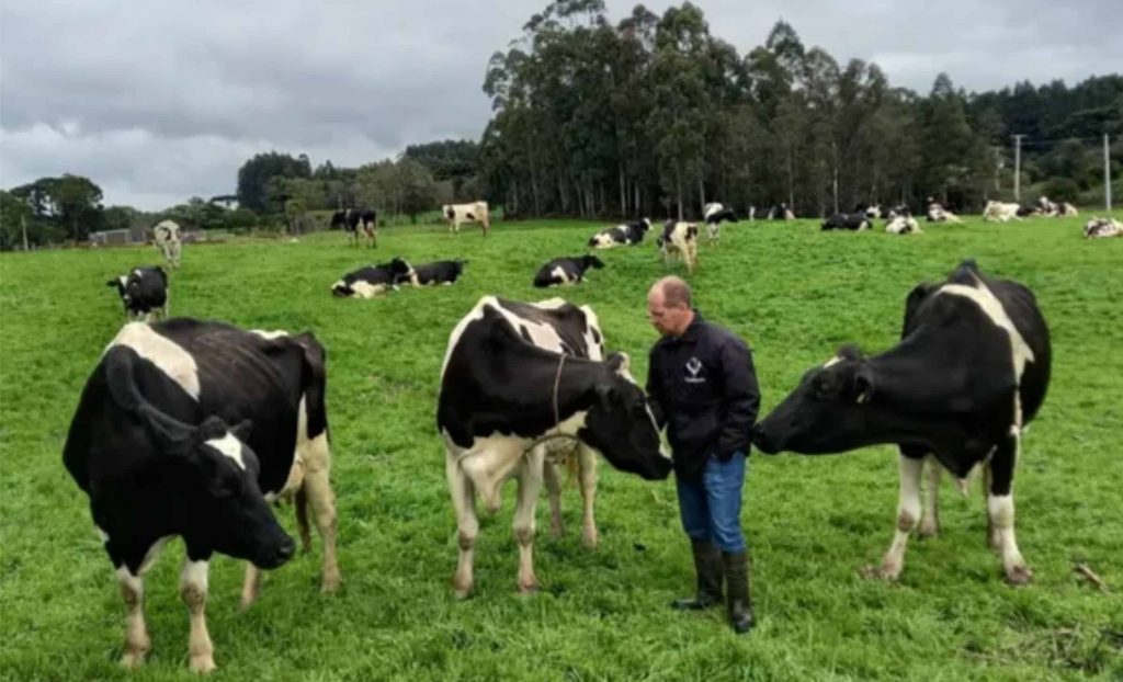 Segundo Marcos Tang, presidente da Gadolando, 10 mil hectares de pastagens foram estragados; mais de 800 produtores de leite foram atingidos — Foto: Gadolando/Divulgação