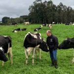 Segundo Marcos Tang, presidente da Gadolando, 10 mil hectares de pastagens foram estragados; mais de 800 produtores de leite foram atingidos — Foto: Gadolando/Divulgação