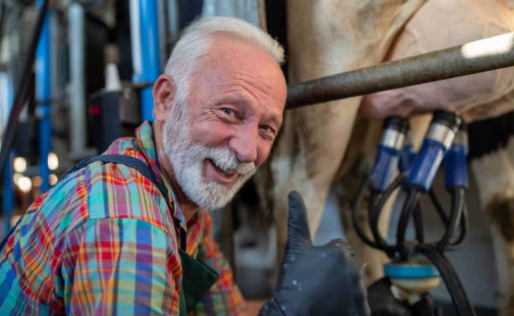 12 de julho como o Dia Nacional do Produtor de Leite.