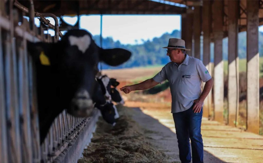 Segundo pesquisa, 60,7% dos produtores brasileiros entregam menos de 200 litros de leite por dia — Foto: Theo Marques