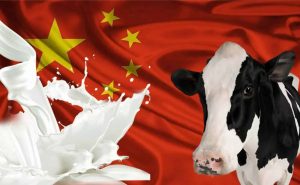 chinês Rabobank leite china