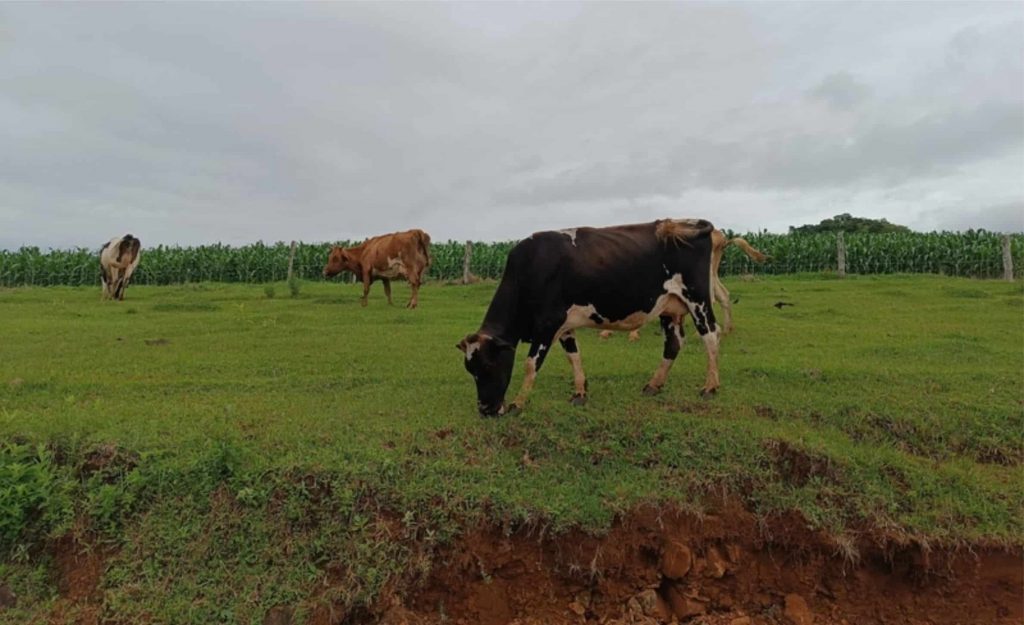 Paraná