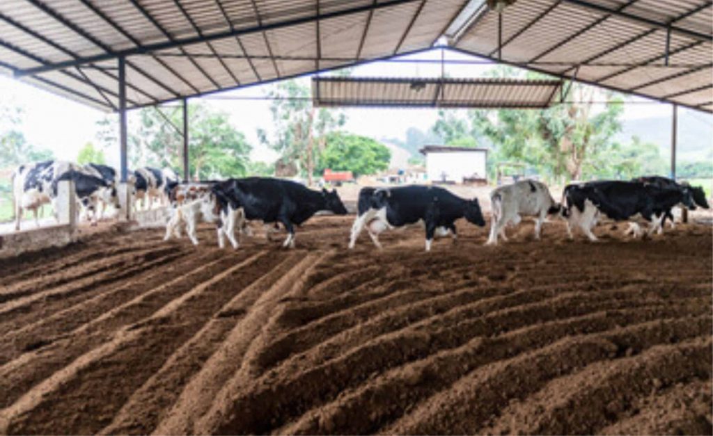 compost barn