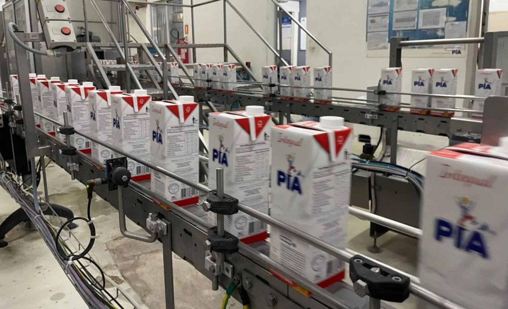 Em 2023, 167 produtores retomaram as entregas de leite à cooperativa, que hoje produz uma média diária de 70 mil litros de leite. Piá.