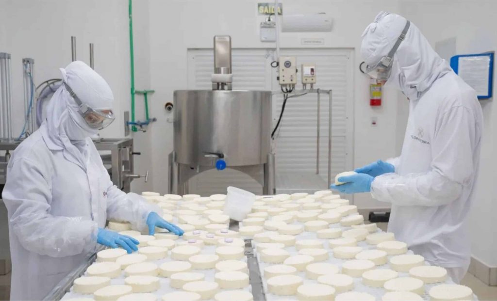 Mais de 41% da produção diária de leite no Paraná é destinada para produção de queijo - Fotos: Divulgação/Biopark