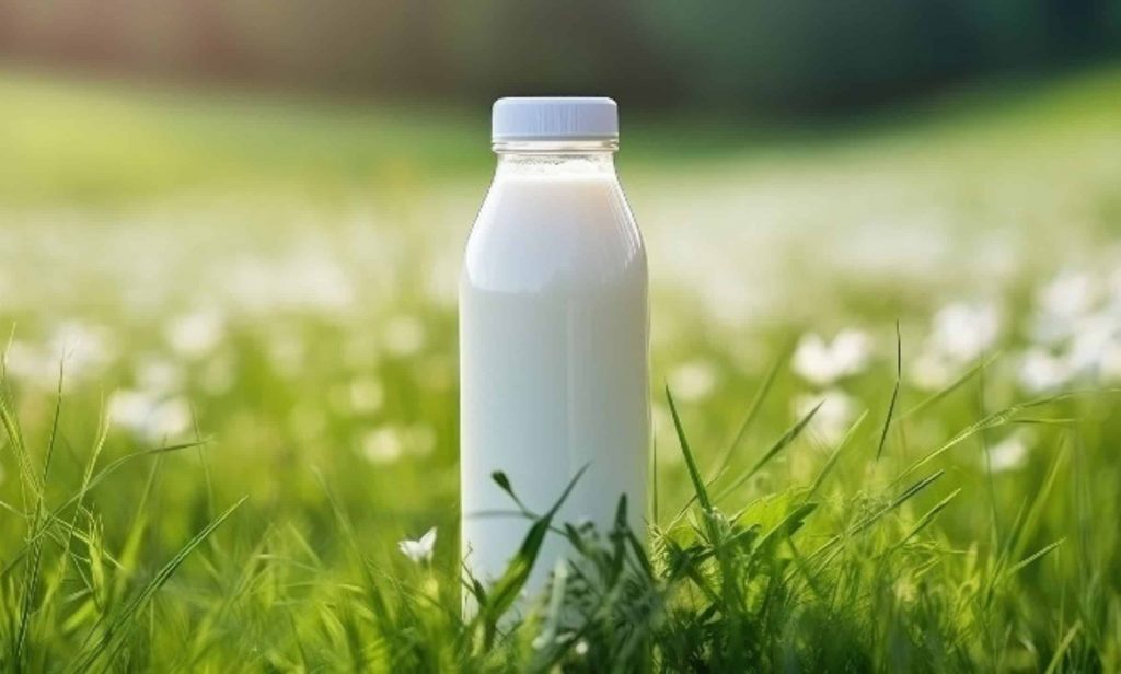 A procura por leite orgânico de vaca ultrapassou recentemente a oferta disponível, que é incapaz de acompanhar a demanda do consumidor. 