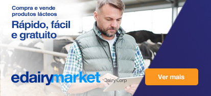 Banner Market